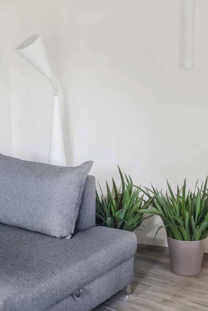 Poilsis Nerngoje Klaipeda Baltijos jura Kursiu Nerija ir Marios Vasara ir Ziema buto nuoma apartamentas Rent Apartment in Baltics vacation Holiday Summer Time Relax Spa